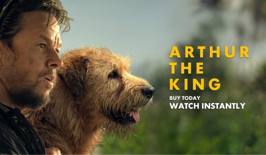 Mirzapur 3 to Garudan: Top New OTT Releases This Week On Netflix, Prime Video, And More 904173