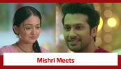 Mishri Serial Twist: Mishri meets Raghav; gets happy seeing his ideologies