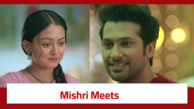 Mishri Serial Twist: Mishri meets Raghav; gets happy seeing his ideologies