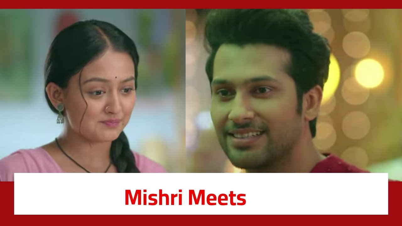 Mishri Serial Twist: Mishri meets Raghav; gets happy seeing his ideologies 905952