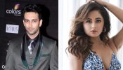 Nandish Sandhu spills the beans about his failed marriage with Rashami Desai, says  'I was blamed for our divorce' 906667