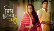Neem Phooler Modhu Serial Twist: Krishna Intensifies Plan to Separate Srijan and Parna