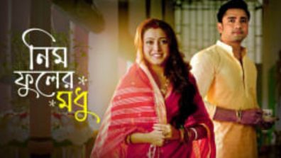 Neem Phooler Modhu Serial Twist: Krishna Intensifies Plan to Separate Srijan and Parna