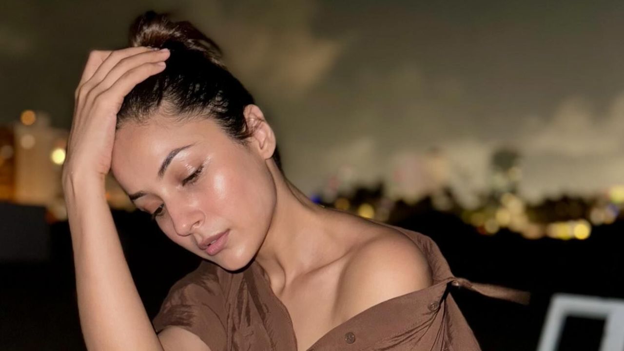 [Photos] Shehnaaz Gill Redefines Beachwear In A Brown Crop Shirt And Black Flared Pants 908989