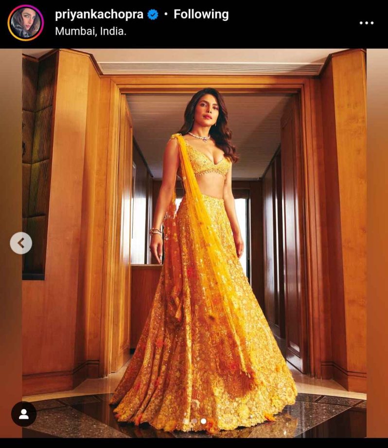 Priyanka Chopra 'clearly missed the chaats & dancing in baaraats', as she wishes Anant & Radhika 906649