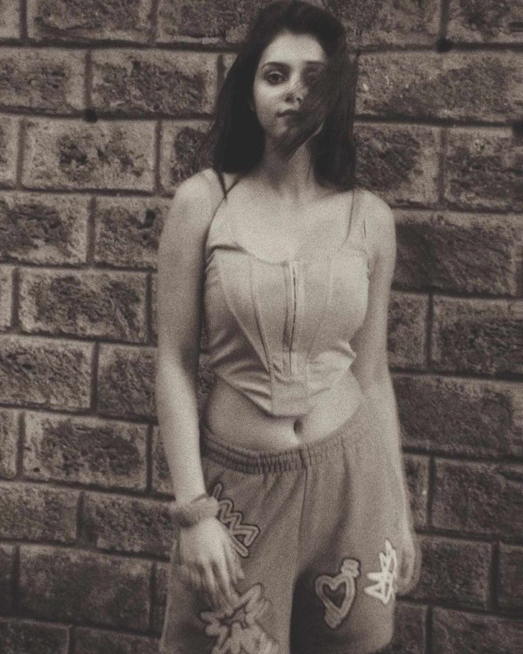 Radhakrishn Fame Mallika Singh Makes Hearts Skip A Beat Flaunting Midriff In Corset Top, See Photos 906722