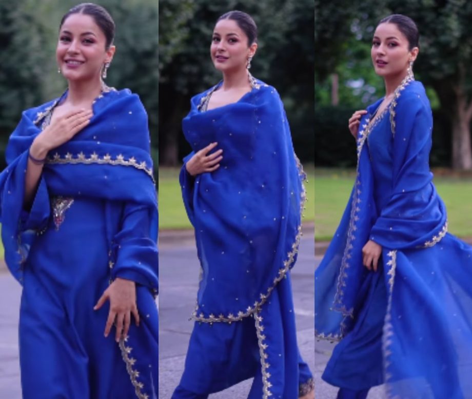 Shehnaaz Gill In Pink Or Blue: Which Ethnic Suit Will Is Perfect Pick For Raksha Bandhan 908355