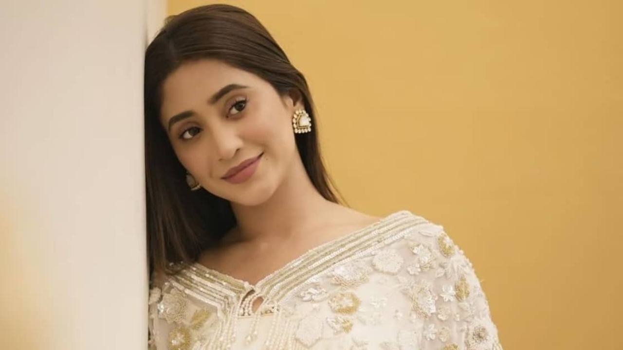 Shopping To Delicious Meal: Peek Into Shivangi Joshi's Perfect Day Out In Chandigarh 909278