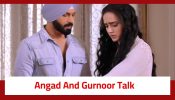 Teri Meri Doriyaann Serial Twist: Akeer gets closer to Gurnoor; Angad and Gurnoor talk about another chance in love 906388