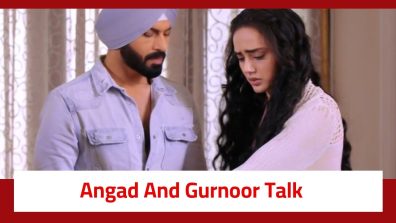 Teri Meri Doriyaann Serial Twist: Akeer gets closer to Gurnoor; Angad and Gurnoor talk about another chance in love