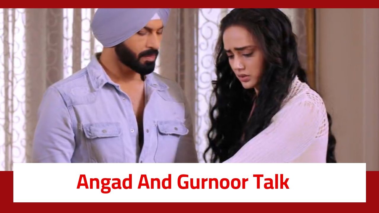 Teri Meri Doriyaann Serial Twist: Akeer gets closer to Gurnoor; Angad and Gurnoor talk about another chance in love 906388