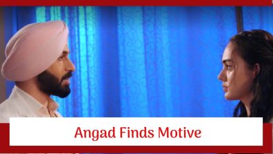 Teri Meri Doriyaann Serial Twist: Angad finds a motive; promises to help Gurnoor
