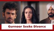 Teri Meri Doriyaann Serial Twist: Angad motivates Gurnoor to seek divorce from Zoravar; triggers Zoravar's anger 905982