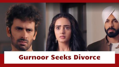 Teri Meri Doriyaann Serial Twist: Angad motivates Gurnoor to seek divorce from Zoravar; triggers Zoravar’s anger