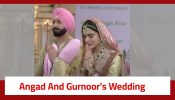 Teri Meri Doriyaann Serial Twist: It's a happy ending; Angad and Gurnoor get married 906522