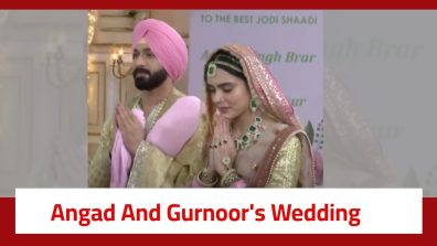 Teri Meri Doriyaann Serial Twist: It’s a happy ending; Angad and Gurnoor get married