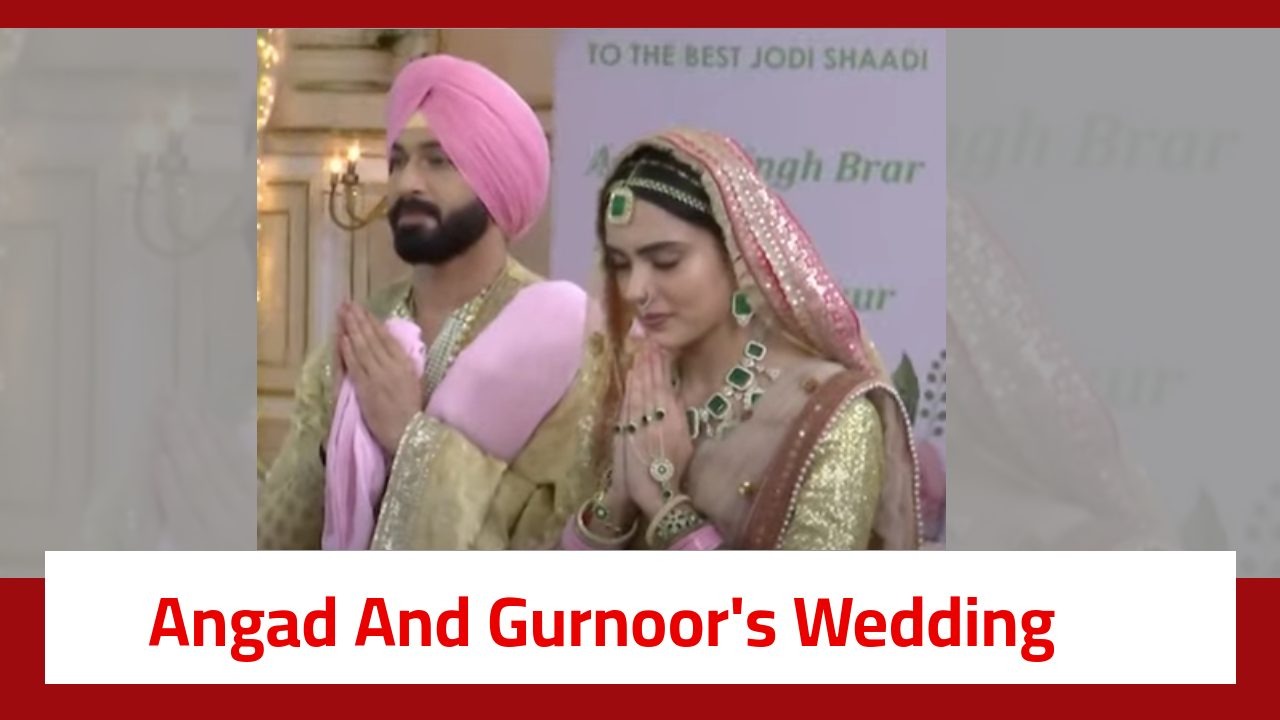 Teri Meri Doriyaann Serial Twist: It's a happy ending; Angad and Gurnoor get married 906522