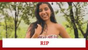 Travel Influencer Aanvi Kamdar Dies After An Accidental Fall Into A Gorge  Near Mumbai 907530
