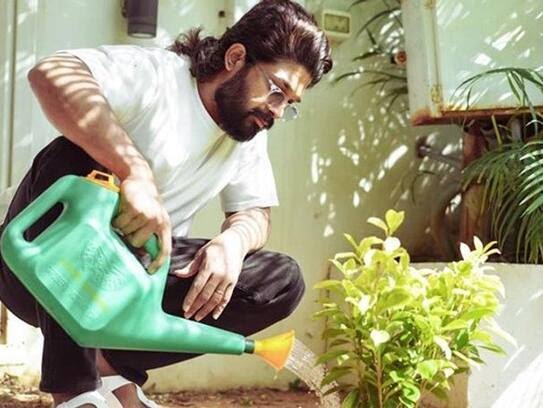 World Nature Conservation Day: 5 Reasons Why Allu Arjun is a Green Warrior 909605