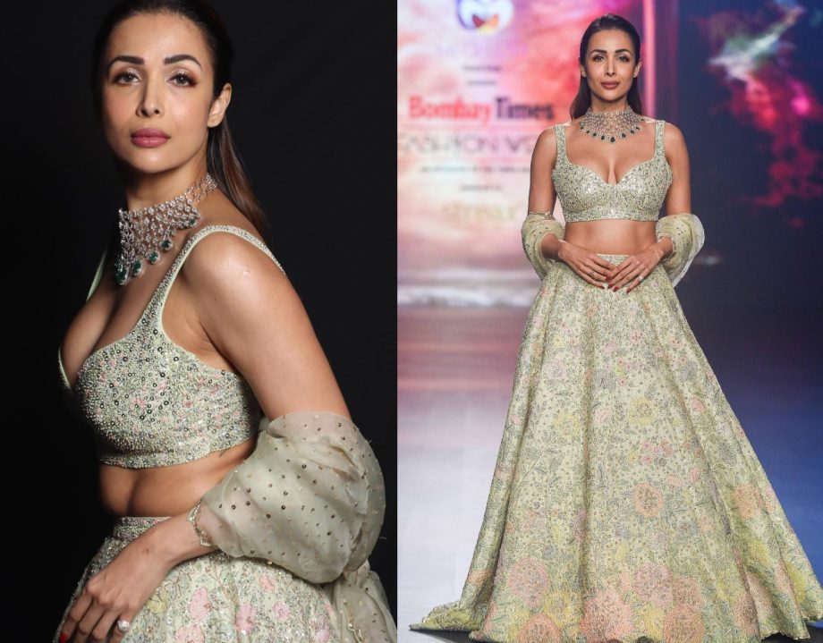 5 Stylish Lehenga Blouse Designs Inspired By Malaika Arora For the Upcoming Festive Season 912432