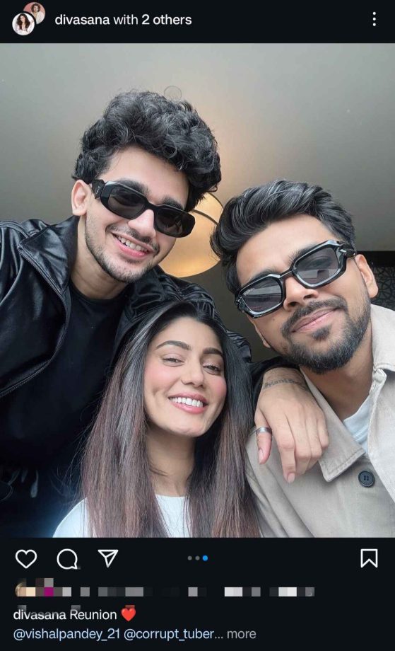 A 'Bigg Boss OTT 3' Reunion: Sana Makbul, Vishal Pandey & Lovekesh Kataria get together 914009