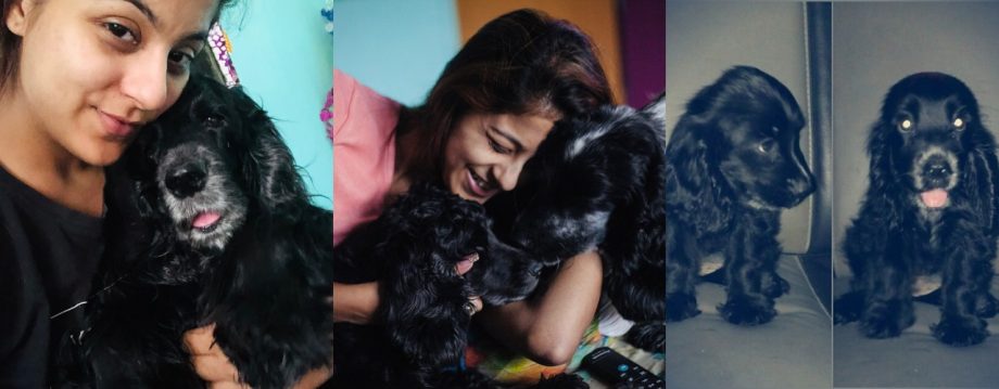 Alivia Sarkar Mourns Loss of 11-Year Companion 910815