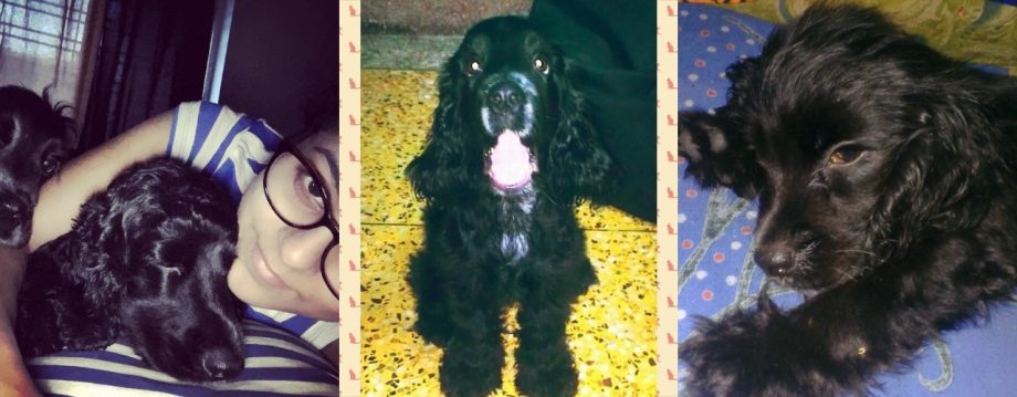Alivia Sarkar Mourns Loss of 11-Year Companion 910814