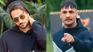 Aly Goni provides a totally different take on the Asim Riaz controversy in ‘Khatron Ke Khiladi 14’