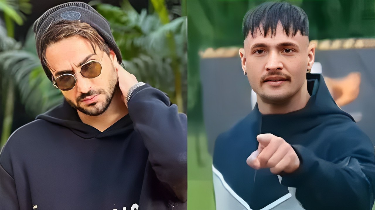 Aly Goni provides a totally different take on the Asim Riaz controversy in 'Khatron Ke Khiladi 14' 915434