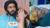 Anupamaa Update, 31 August 2024: Shocking! Anupama Hospitalised As Megha Stabbed A Knife In Her Stomach