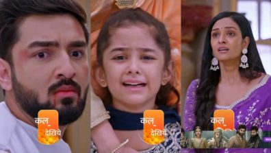 Bhagya Lakshmi Serial Upcoming Story: Terrorists Punch Rishi, Lakshmi To Kill CM Madam