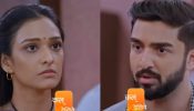 Bhagya Lakshmi Serial Upcoming Twist: Oh No! Lakshmi Requests Rishi To Stay Away From Her