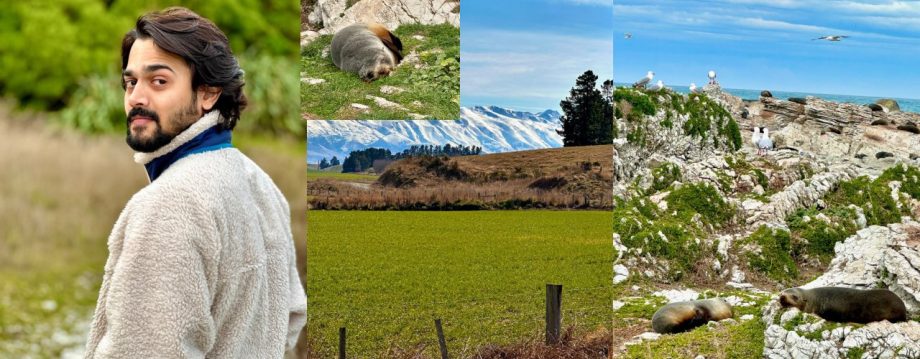 Bhuvan Bam's New Zealand Escapade: A Romantic Mystery Unfolds 914889