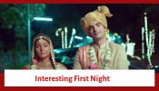 Dil Ko Tumse Pyaar Hua Serial Upcoming Twist: Deepika cleans her new home; Chirag and Deepika’s interesting first night