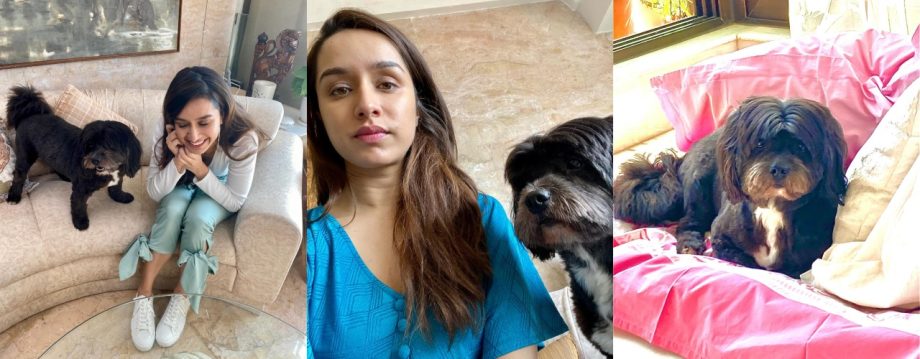 Friendship Day Special: Shraddha Kapoor And Jacqueliene Fernandez Share Heartwarming Photos With Their Pets 911229