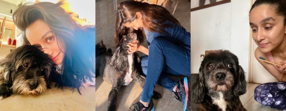Friendship Day Special: Shraddha Kapoor And Jacqueliene Fernandez Share Heartwarming Photos With Their Pets 911230