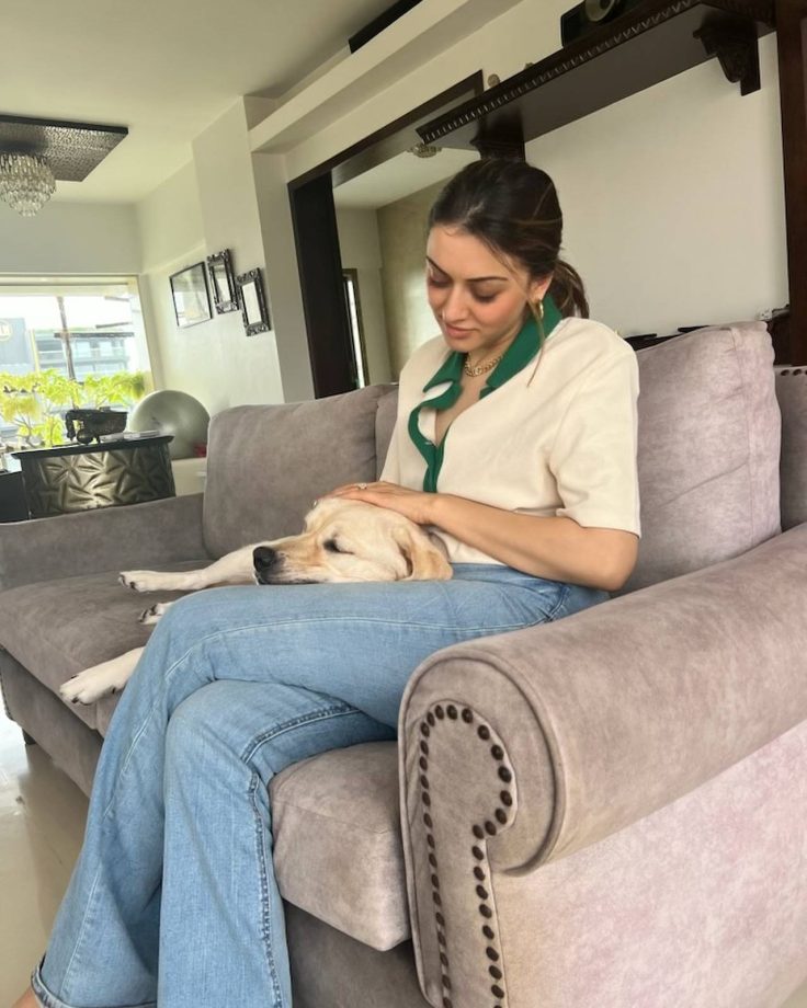 Hansika Motwani's July Dump: A Glimpse into her Joyful Life 910578