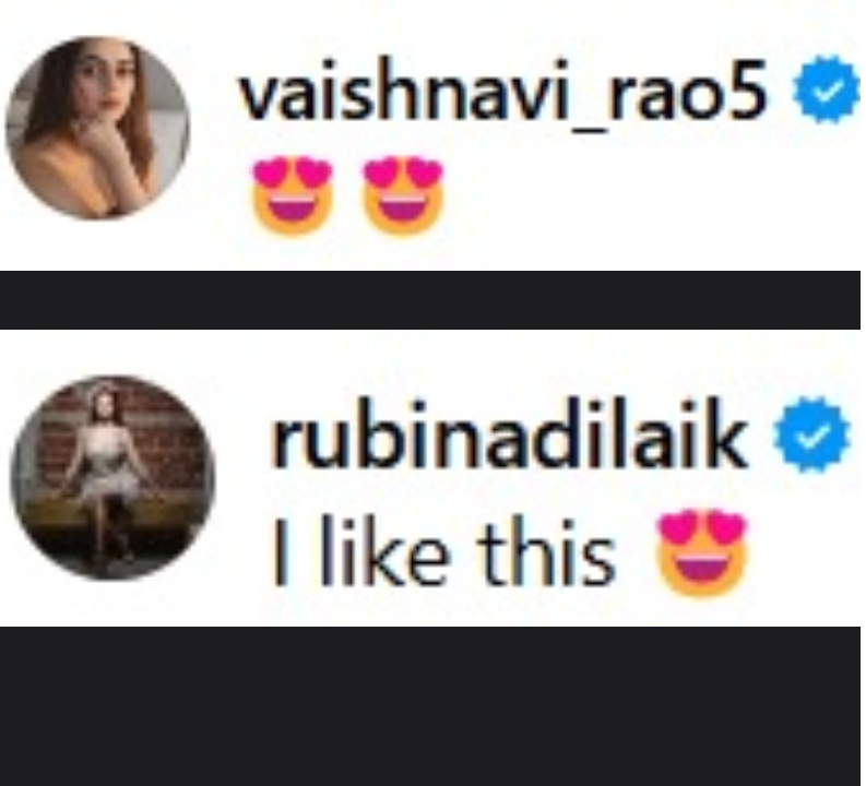 Jannat Zubair's Picture-Perfect Moment In Strapless Gown Leave Reem Shaikh & Rubina Dilaik In Awe 914483
