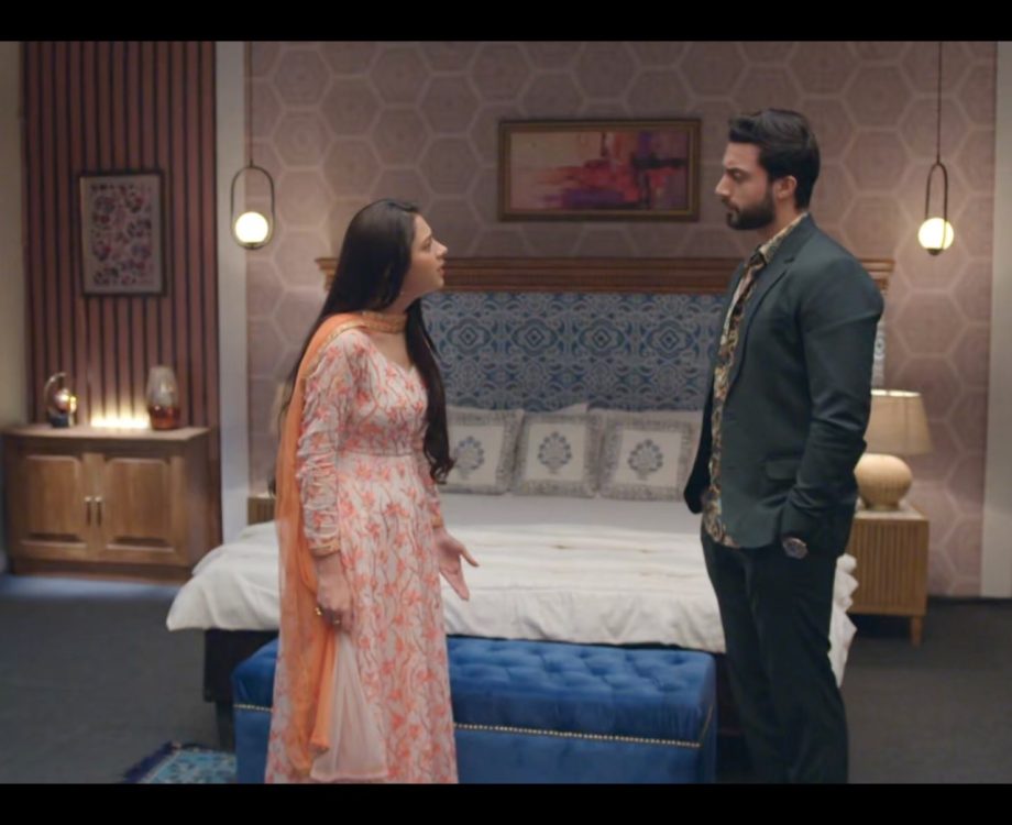 Jhanak Written Update, 24 August 2024: Aditya's Concern And Jhanak's Decides To Reveal The Pregnancy News To Aniruddh 914996