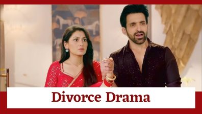 Kaise Mujhe Tum Mil Gaye Serial Upcoming Twist: Priyanka and Ishika plot to get Virat-Amruta divorced; will the divorce happen?