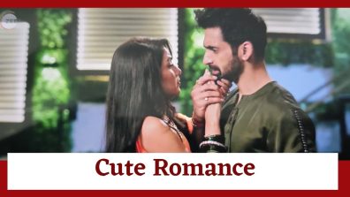 Kaise Mujhe Tum Mil Gaye Serial Upcoming Twist: Virat calls Amruta ‘pagal’; cute romance to ensue
