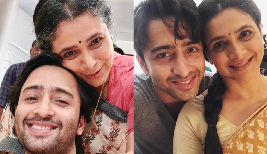 Kuch Rang Pyar Ke Aise Bhi Reunion: Shaheer Sheikh Wishes Supriya Pilgaonokar On Her Birthday; Erica Fernandes Joins Him With A Cute Reply 913706