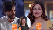 Kundali Bhagya Serial Upcoming Twist: Oh No! Nidhi Creates Misunderstandings Between Shaurya And Preeta