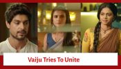 Maati Se Bandhi Dor Serial Upcoming Twist: Ranvijay and Jaya have differences; Vaiju tries to resolve it