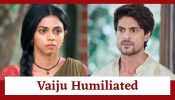 Maati Se Bandhi Dor Serial Upcoming Twist: Vaiju gets humiliated; Ranvijay asks her to fight for her rights 916117