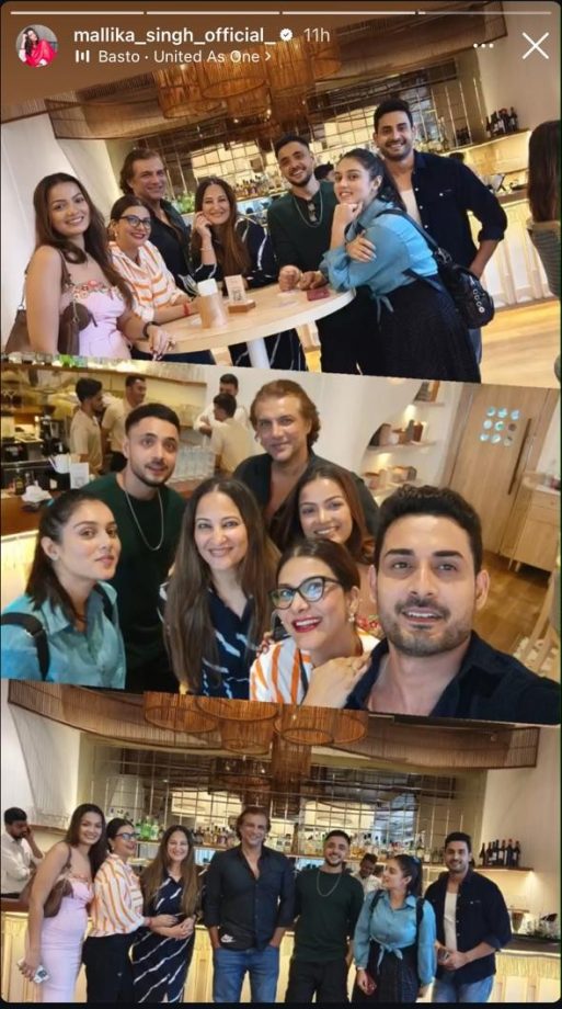 Mallika Singh Reunites With Prachand Ashok Cast, Shares Cute Moments From Get-together 915292