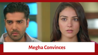 Megha Barsenge Serial Upcoming Twist: Manoj all set to go to Georgia; Megha convinces him to take money