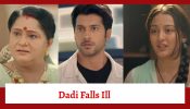 Mishri Serial Upcoming Twist: Dadi falls ill; reaches out to Raghav for help, Mishri too arrives