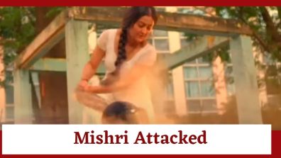 Mishri Serial Upcoming Twist: Mishri attacked by masked man; will Raghav save her?