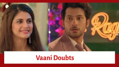 Mishri Serial Upcoming Twist: Vaani doubts Raghav; asks Mishri to spy on him